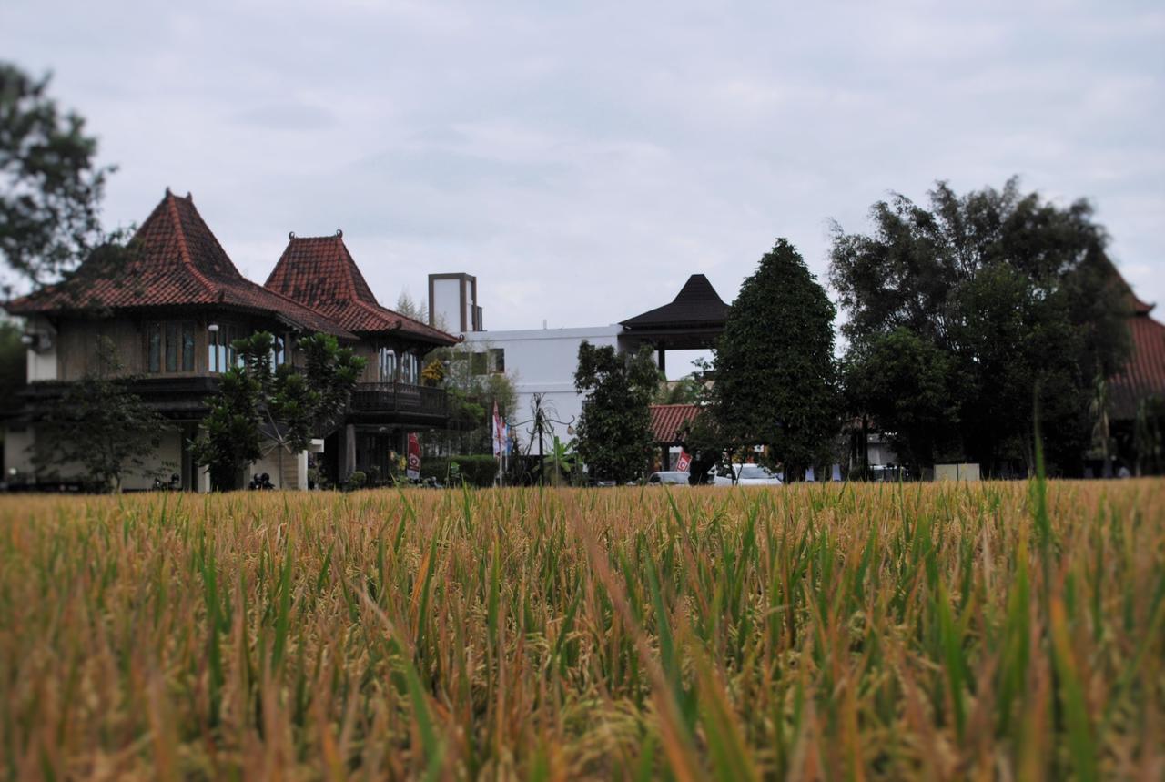 ชวา วิลเลจ รีสอร์ต Hotel สเลมาน ภายนอก รูปภาพ
