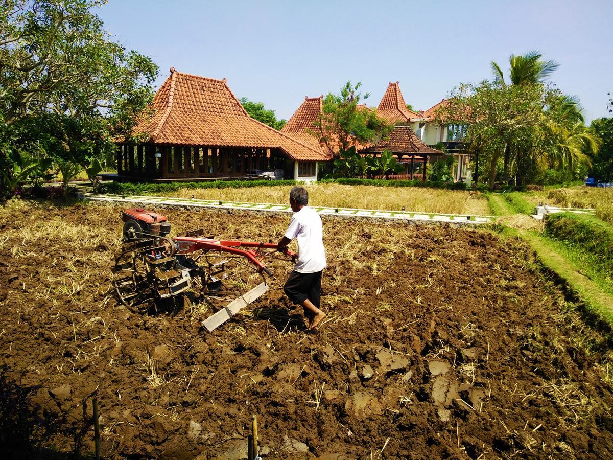 ชวา วิลเลจ รีสอร์ต Hotel สเลมาน ภายนอก รูปภาพ