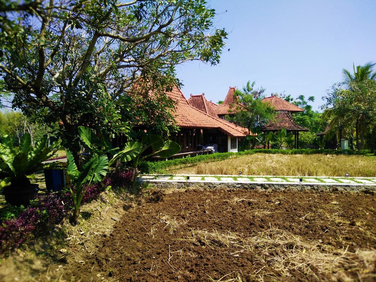 ชวา วิลเลจ รีสอร์ต Hotel สเลมาน ภายนอก รูปภาพ
